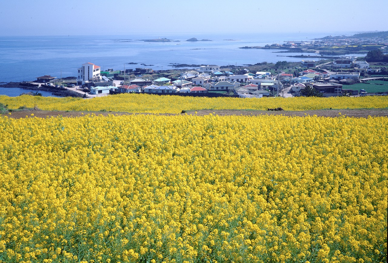 제주도흥신소