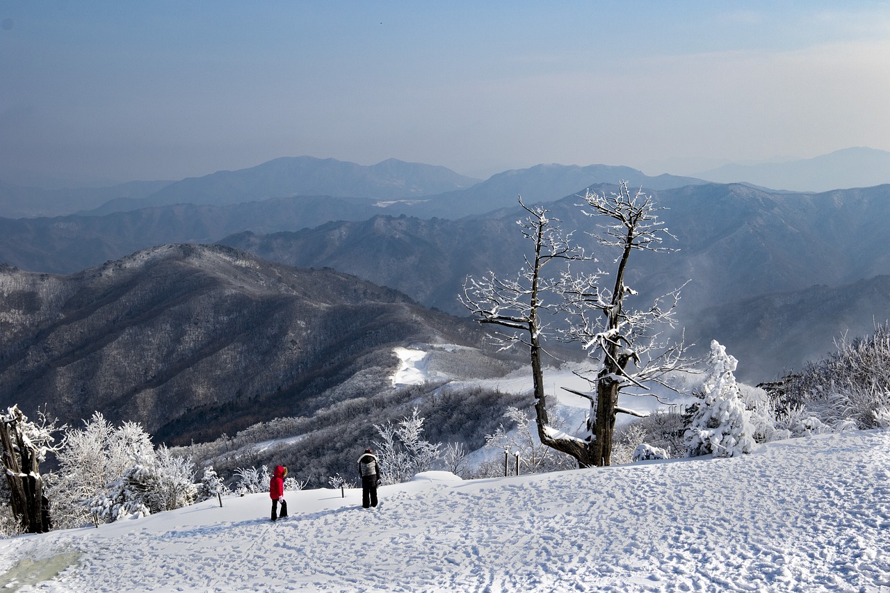 울산흥신소