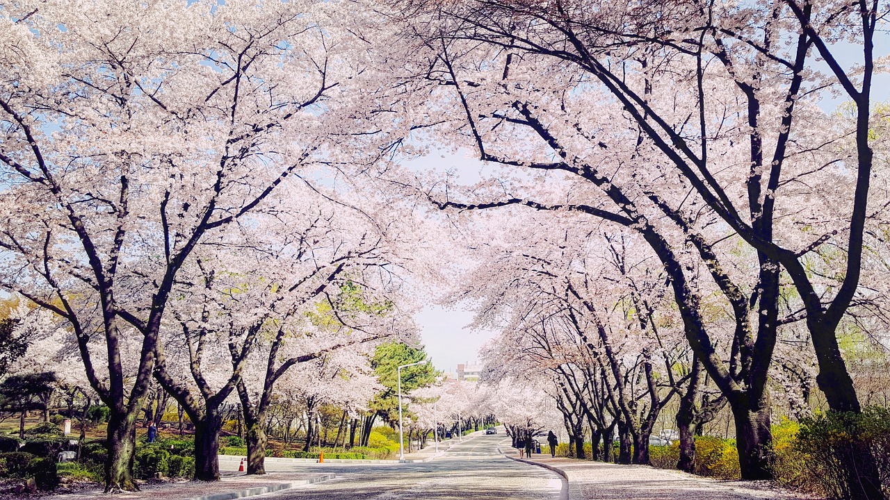대구사설탐정