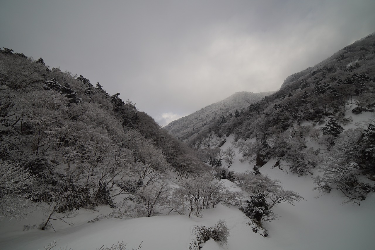 울산흥신소