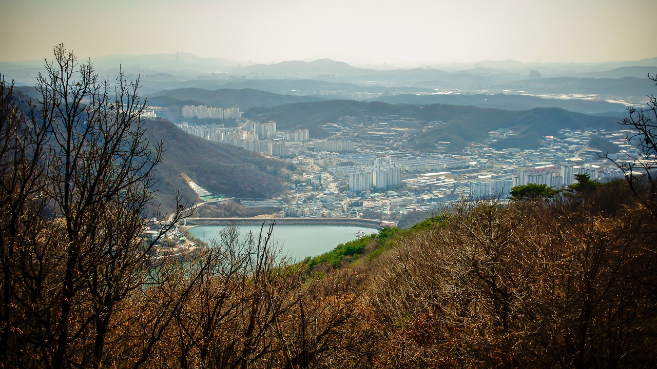 남양주탐정사무소