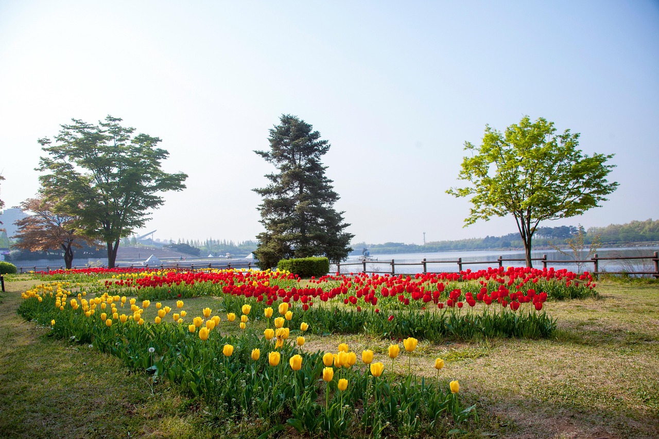 일산흥신소