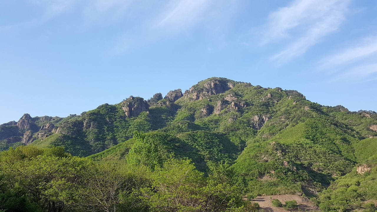 안산 흥신소