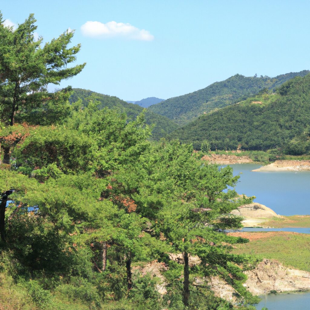 제천 흥신소
