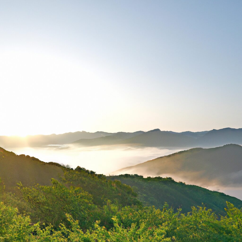 광주 흥신소