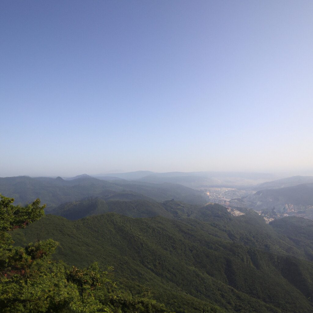 부산 흥신소