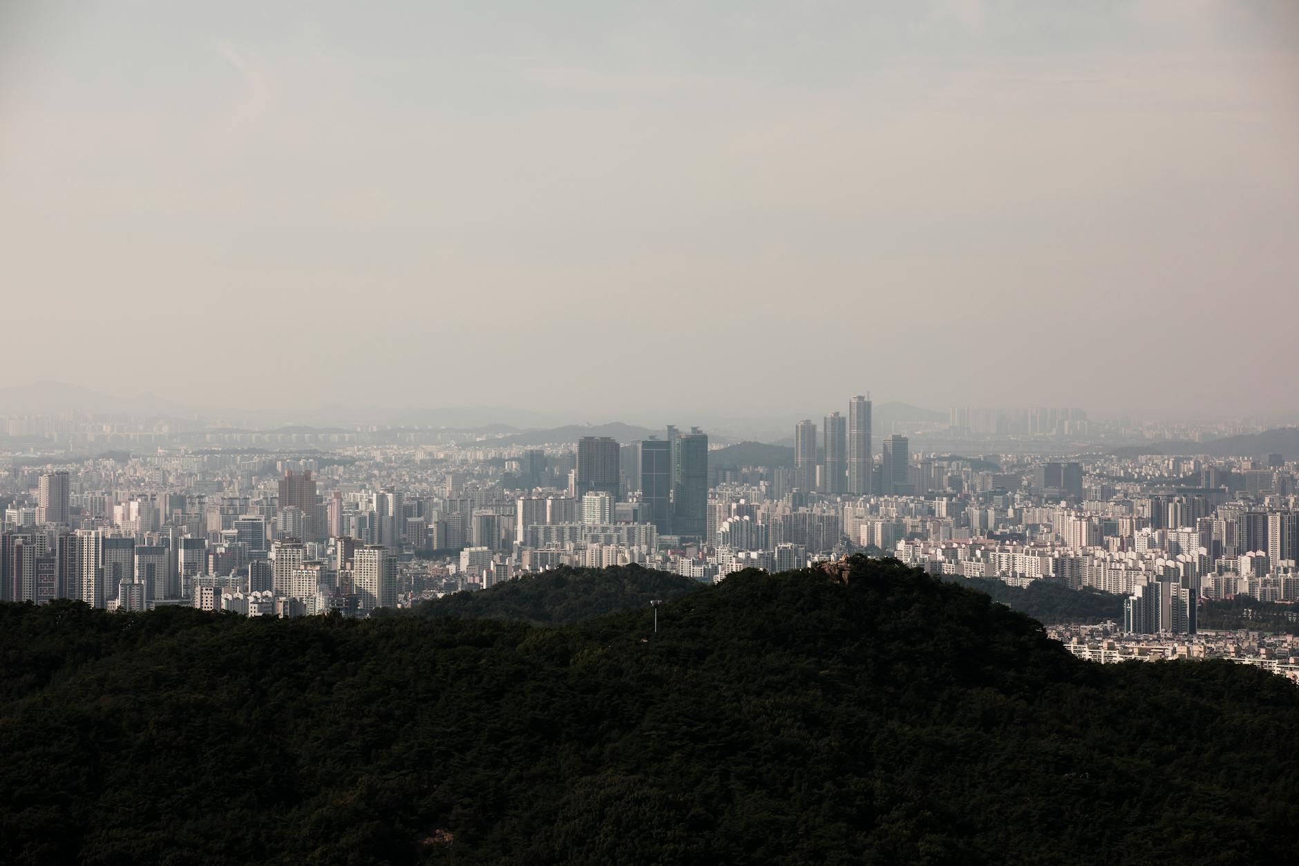 여수흥신소