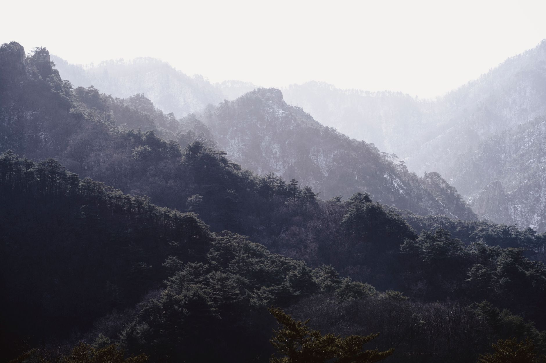 저렴한 탐정비용의 함정 확인해야 할 체크포인트