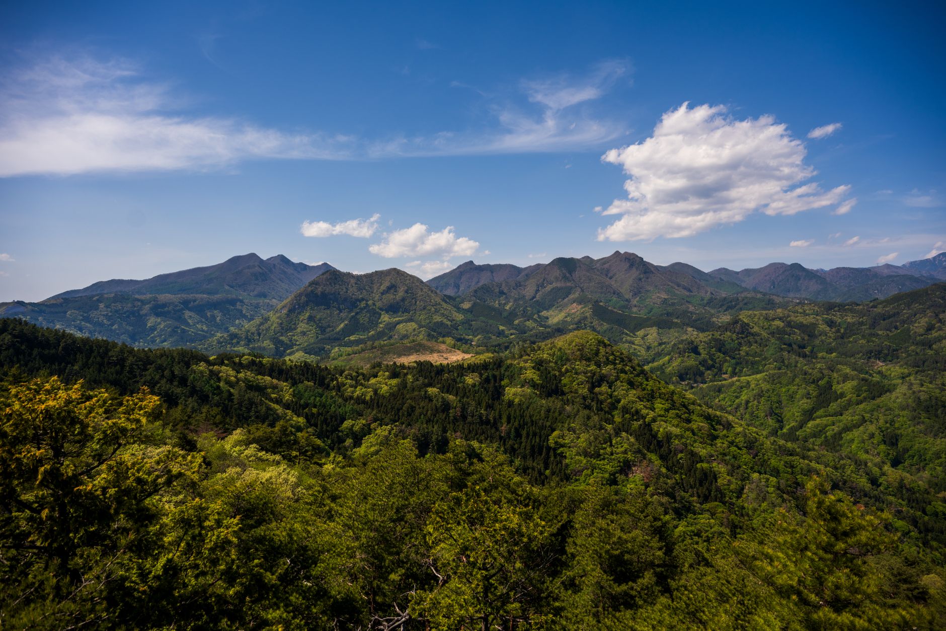 옛 친구 찾기 탐정 서비스로 가능할까